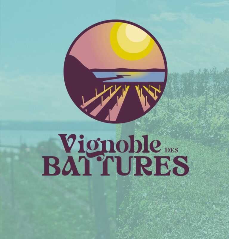 vignoble des battures 3 768x801