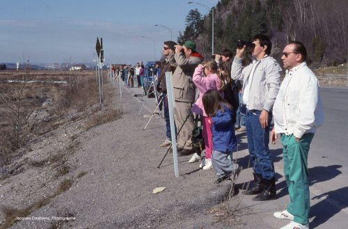 MAI 89 jacques desbiens